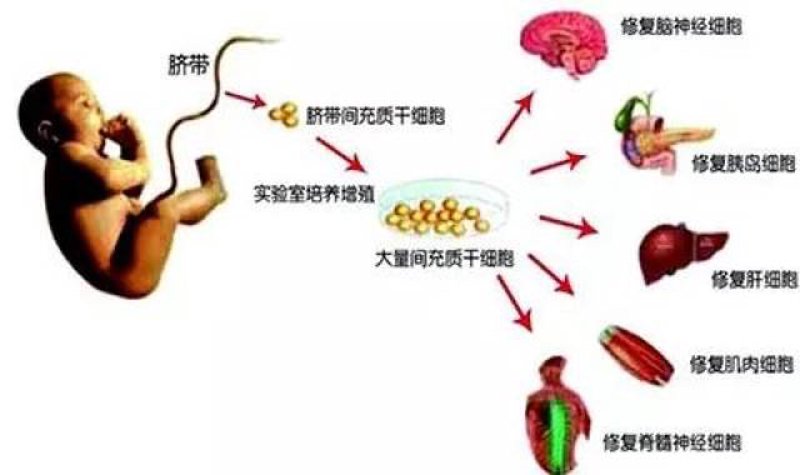 检验检疫技术中心是干嘛的？这听起来像是一个复杂的问题，但其实它涉及到我们日常生活中的方方面面。今天，我们就来详细解析一下。