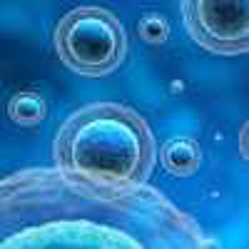 生物技术说白了是干嘛的：我家人的干细胞救援记