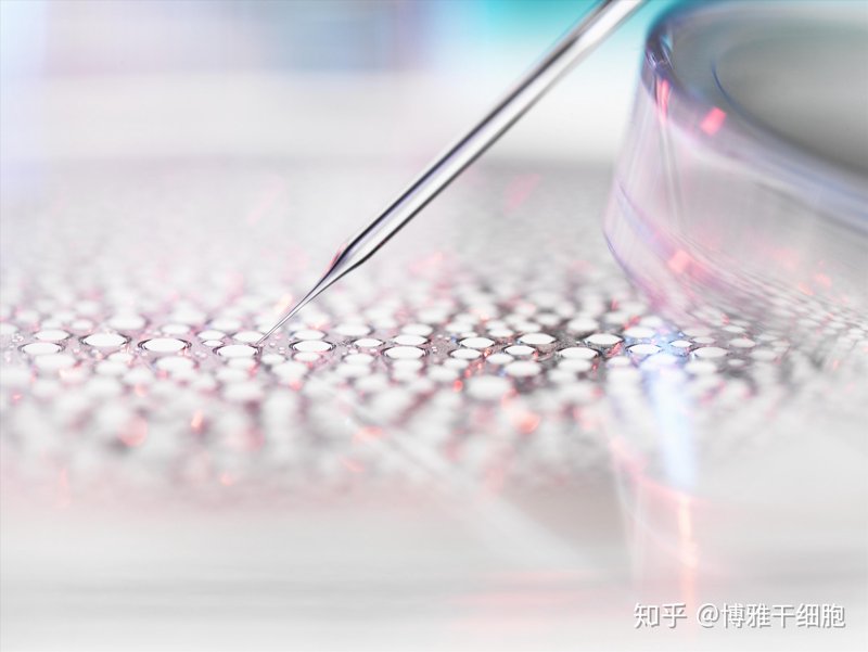 干细胞存储