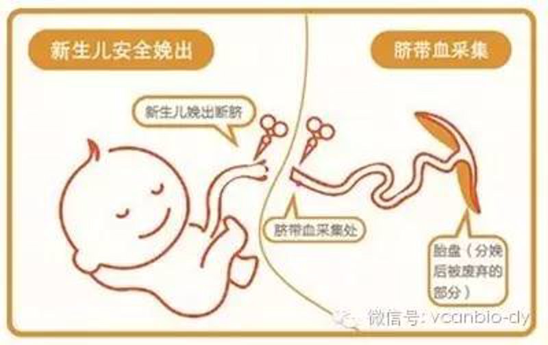 厦门出入境检验检疫局国际旅行卫生保健中心，为您保驾护航