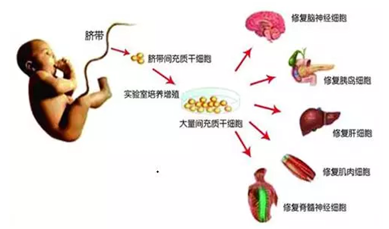 检验检疫技术中心改革将带来哪些变化？让我们一起探索未来。