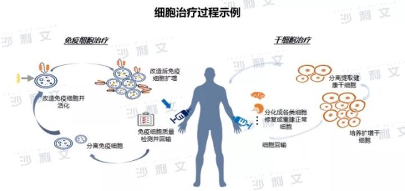 细胞治疗技术