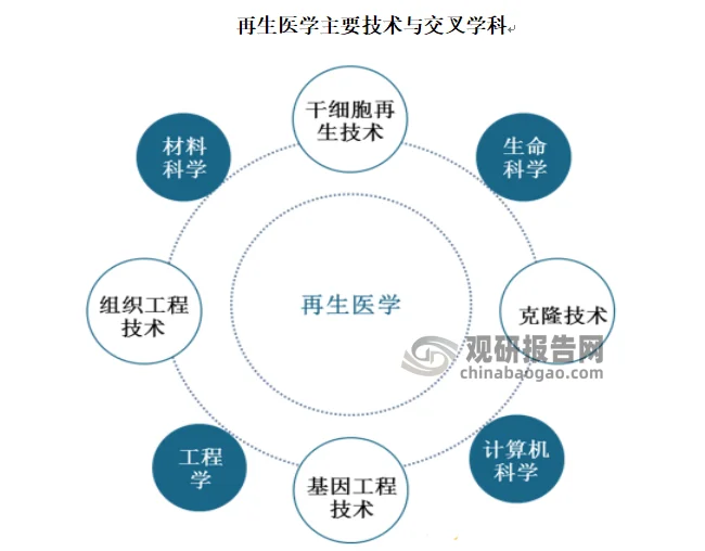 检验检疫技术中心是干嘛的？带你了解它的职能与作用